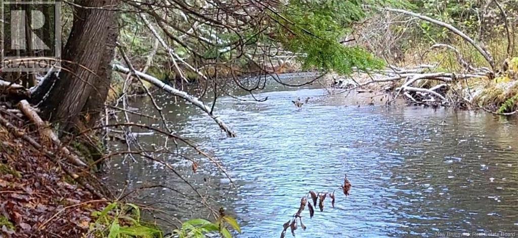 120 Saint-Marcel, Acadieville, New Brunswick  E4Y 1R4 - Photo 28 - NB130014