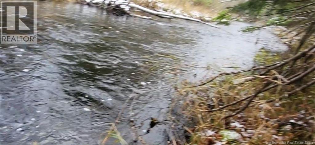 120 Saint-Marcel, Acadieville, New Brunswick  E4Y 1R4 - Photo 29 - NB130014