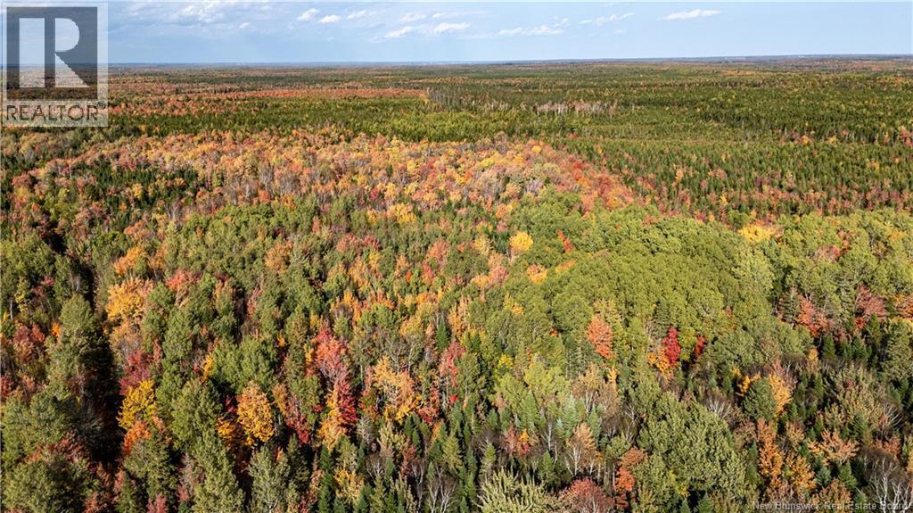 Lot Cormier Village Road, Saint-Paul, New Brunswick  E4T 3H3 - Photo 6 - NB127555