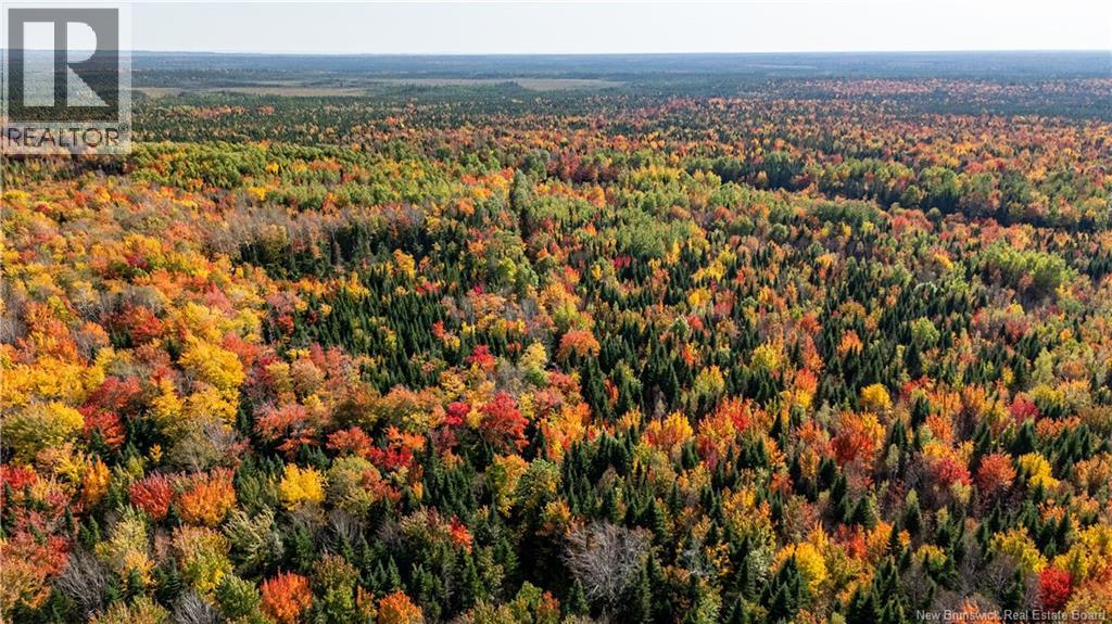 Lot Cormier Village Road, Saint-Paul, New Brunswick  E4T 3H3 - Photo 8 - NB127555