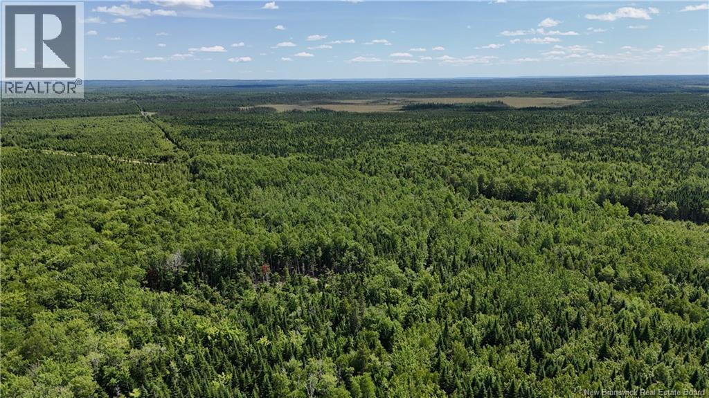 Lot Cormier Village Road, Saint-Paul, New Brunswick  E4T 3H3 - Photo 9 - NB127555