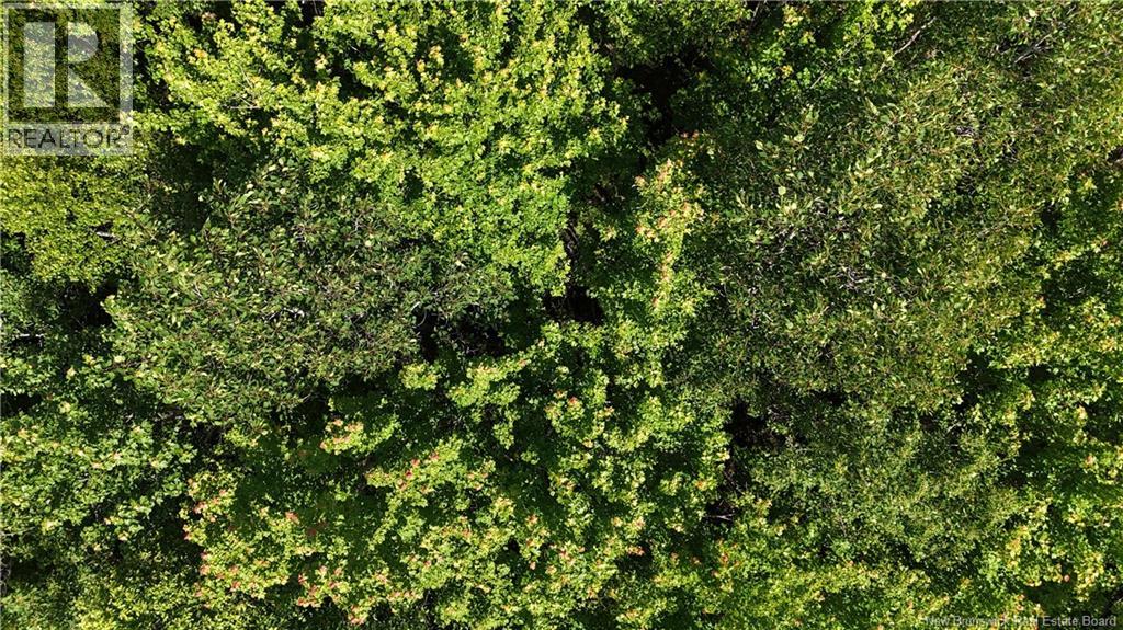 Lot Cormier Village Road, Saint-Paul, New Brunswick  E4T 3H3 - Photo 3 - NB127555