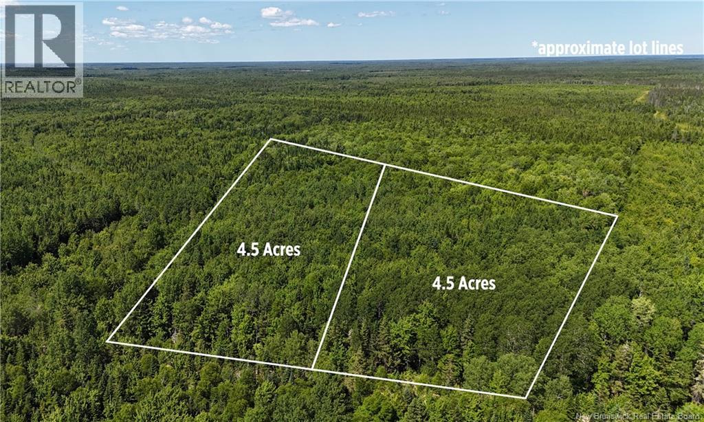 Lot Cormier Village Road, Saint-Paul, New Brunswick  E4T 3H3 - Photo 4 - NB127555