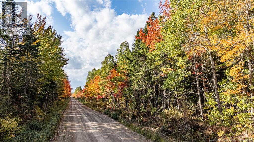 Lot Cormier Village Road, Saint-Paul, New Brunswick  E4T 3H3 - Photo 5 - NB127555