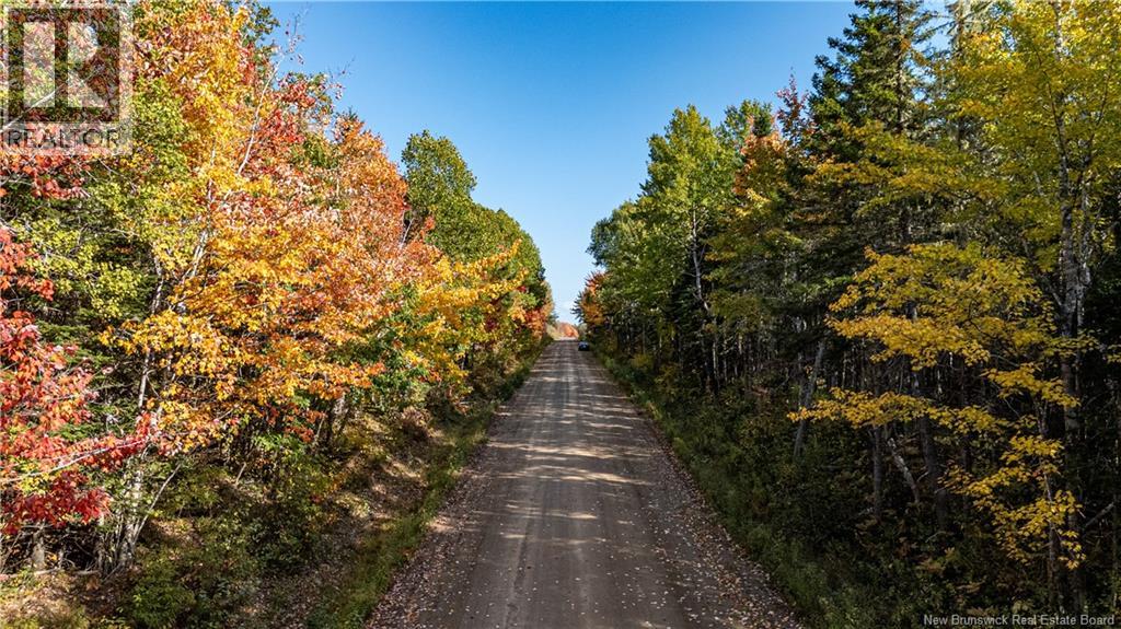 Lot Cormier Village Road, Saint-Paul, New Brunswick  E4T 3H3 - Photo 11 - NB130079