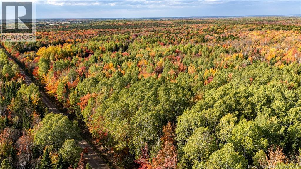 Lot Cormier Village Road, Saint-Paul, New Brunswick  E4T 3H3 - Photo 12 - NB130079