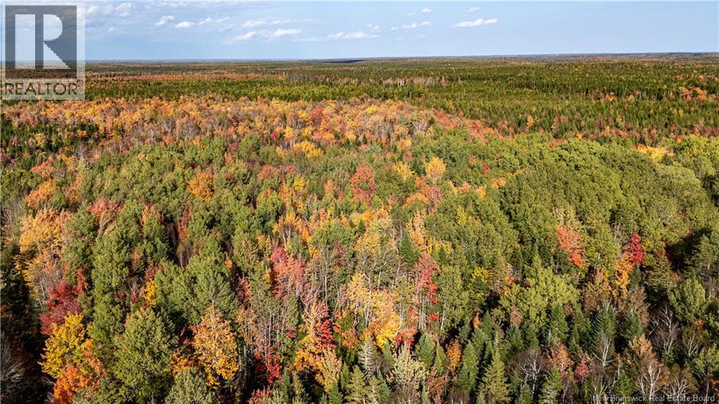 Lot Cormier Village Road, Saint-Paul, New Brunswick  E4T 3H3 - Photo 5 - NB130079