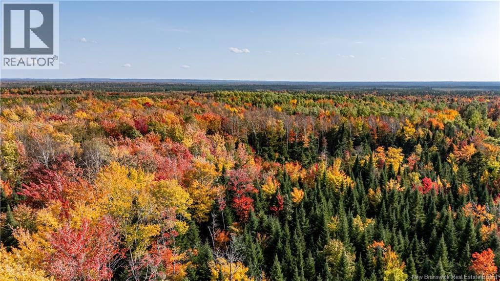 Lot Cormier Village Road, Saint-Paul, New Brunswick  E4T 3H3 - Photo 8 - NB130079