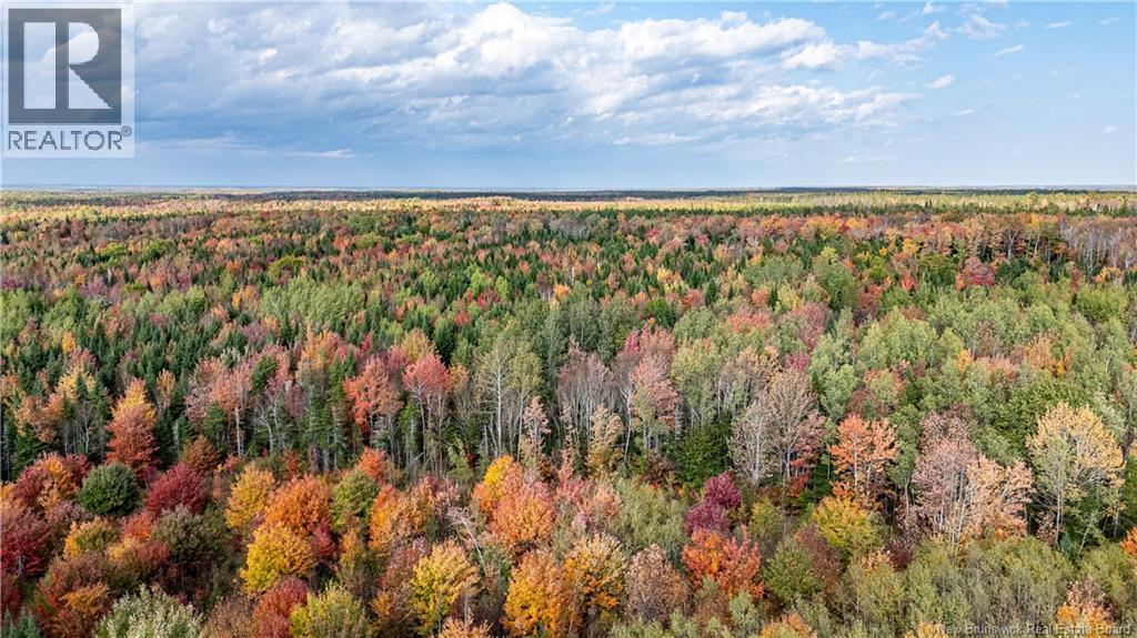 Lot Cormier Village Road, Saint-Paul, New Brunswick  E4T 3H3 - Photo 10 - NB130079