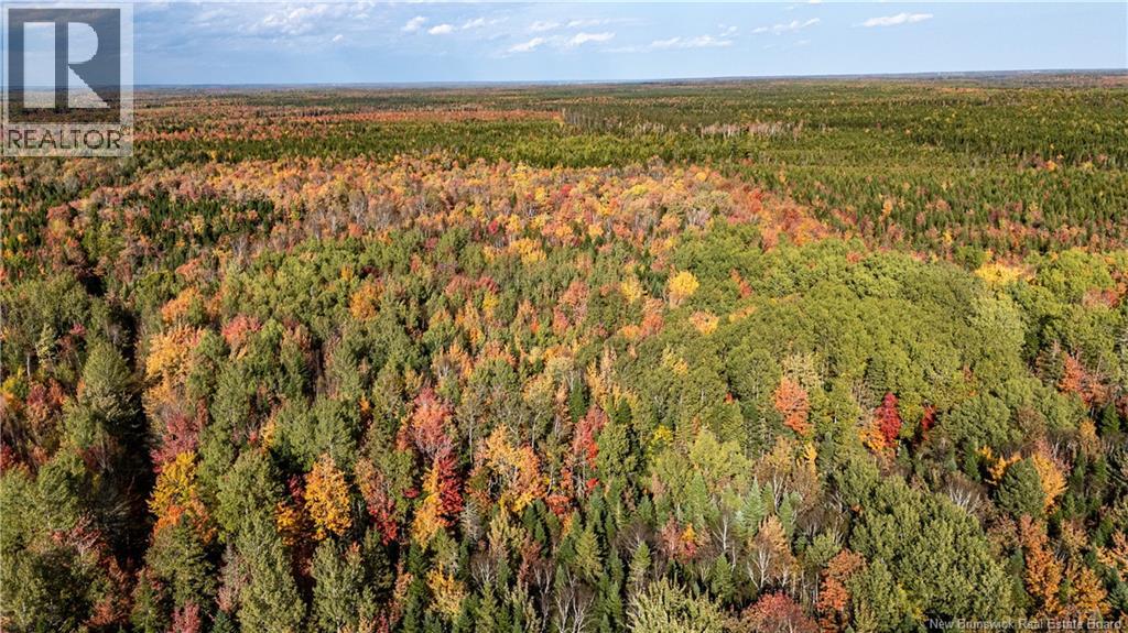 Lot Cormier Village Road, Saint-Paul, New Brunswick  E4T 3H3 - Photo 13 - NB130079