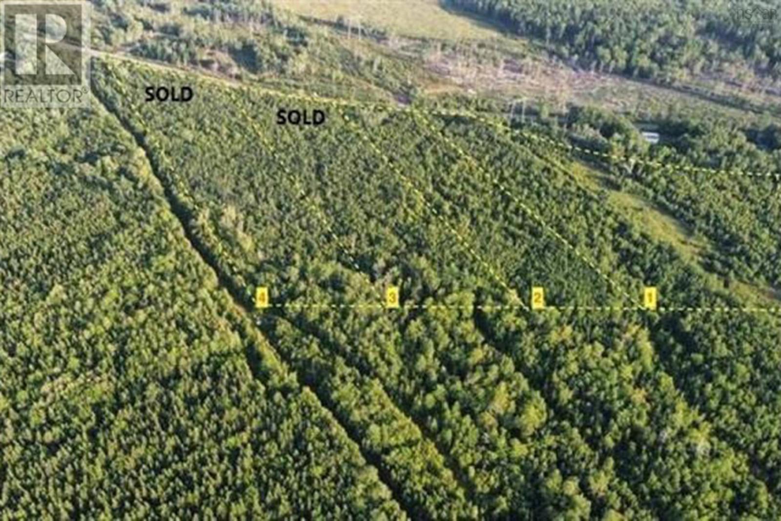 Lot 24-1 Highway 321, Roslin, Nova Scotia  B0M 1P0 - Photo 7 - 202527642