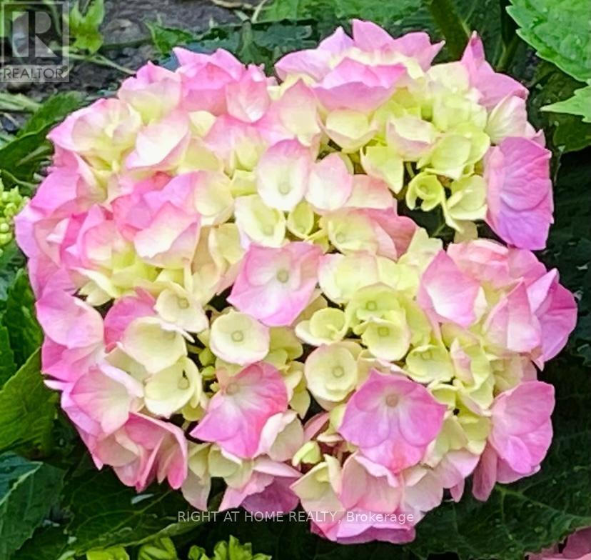 95 - 1474 Heatherington Road, Ottawa, Ontario  K1V 6S1 - Photo 45 - X12534580