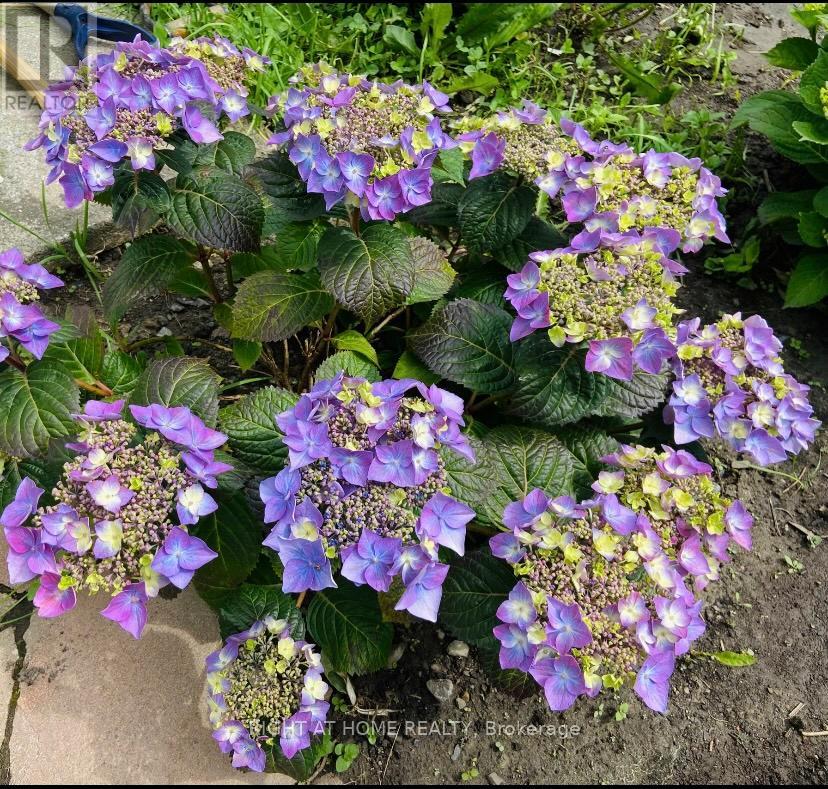 95 - 1474 Heatherington Road, Ottawa, Ontario  K1V 6S1 - Photo 47 - X12534580