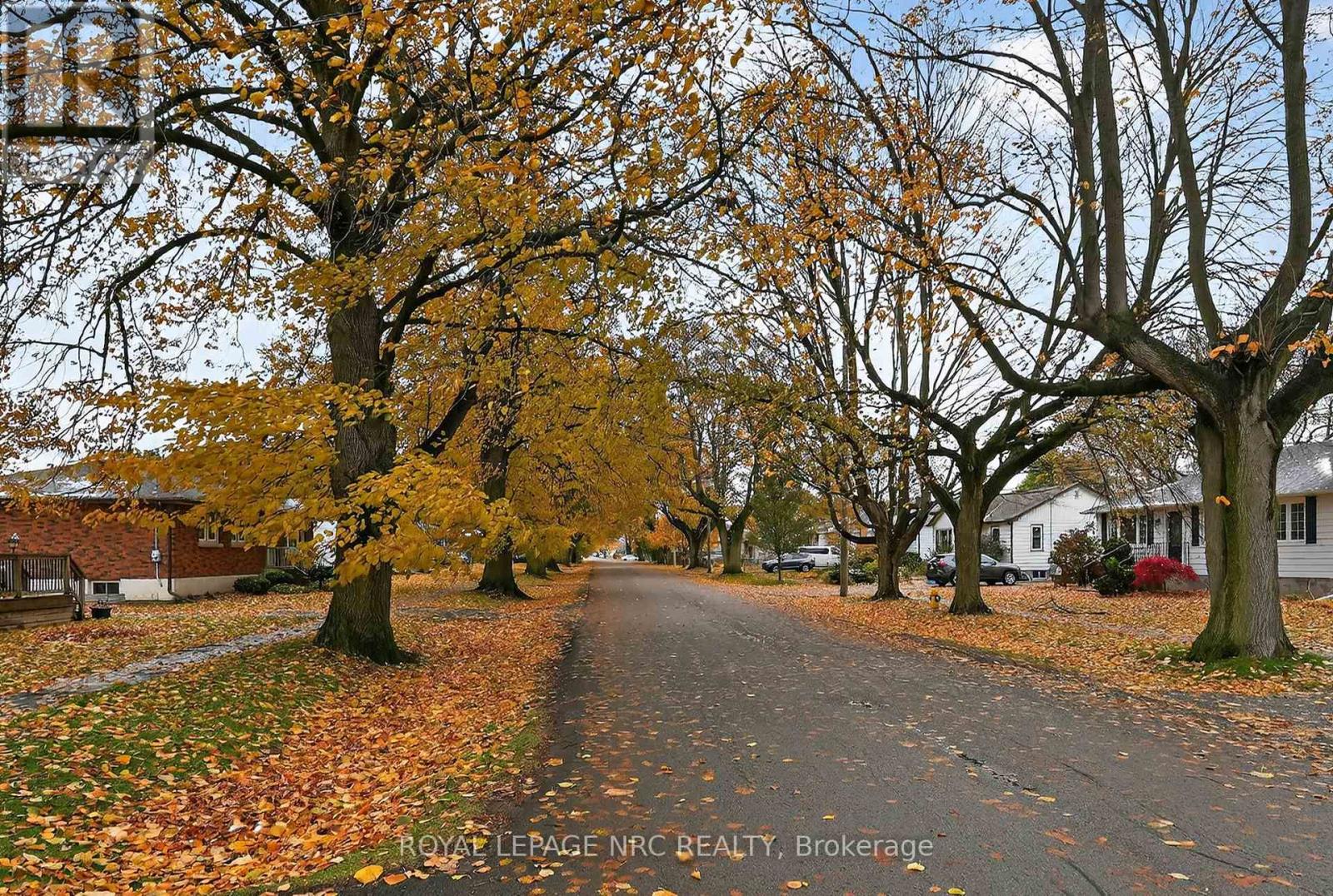 25 Else Street, St. Catharines, Ontario  L2N 2B9 - Photo 41 - X12539974