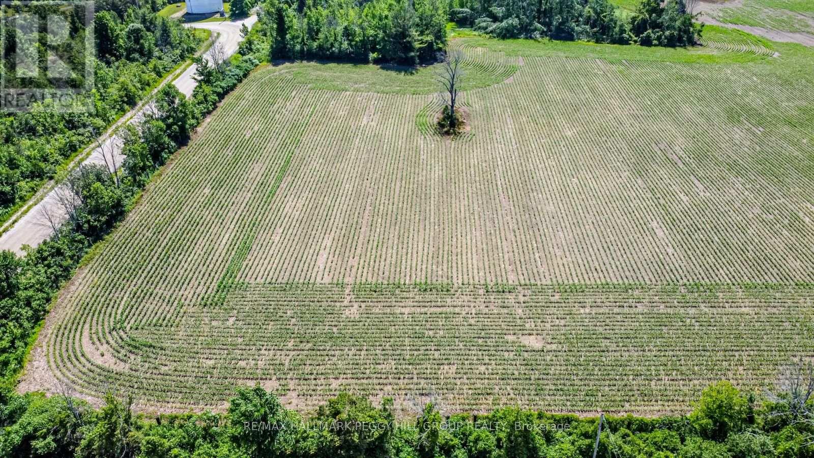 426 Seventh Avenue, Tay, Ontario  L0K 1R0 - Photo 3 - S12337924