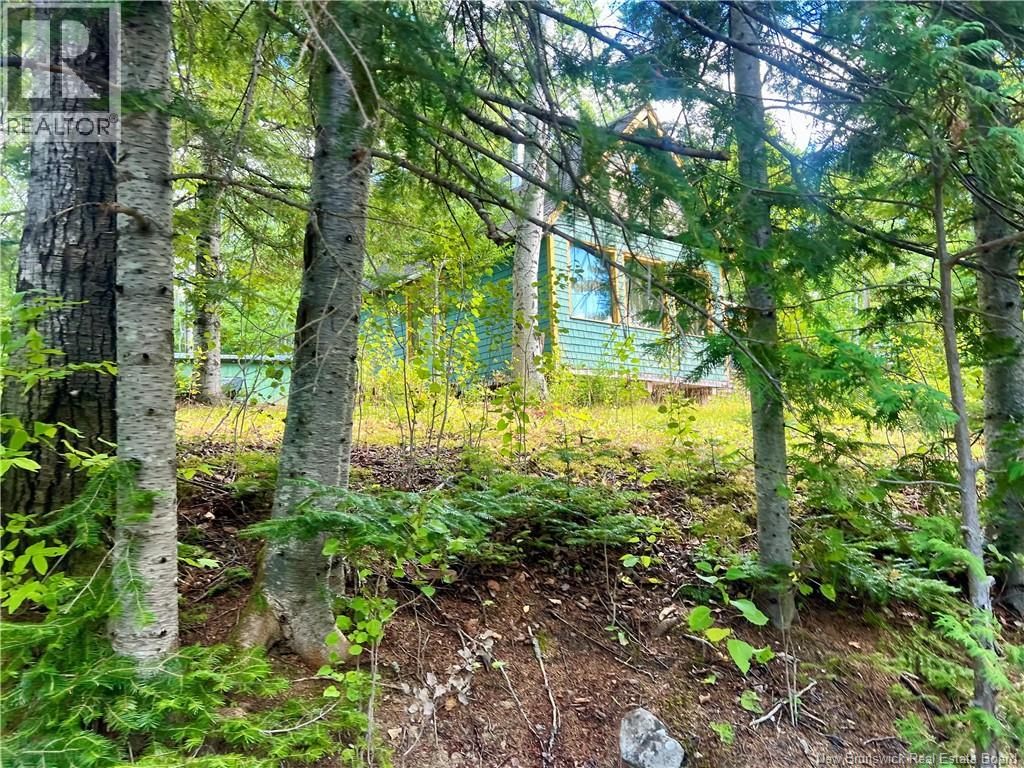 Rio Grande Road, Rio Grande, New Brunswick  E2A 6Y9 - Photo 22 - NB125621