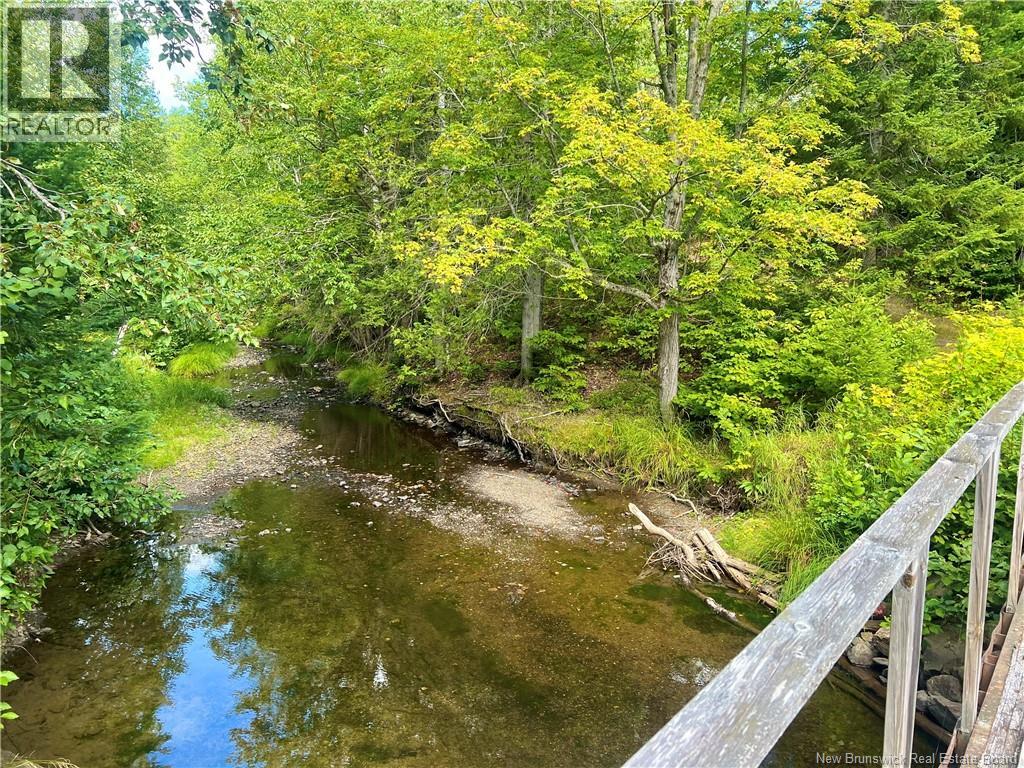 Rio Grande Road, Rio Grande, New Brunswick  E2A 6Y9 - Photo 21 - NB125621