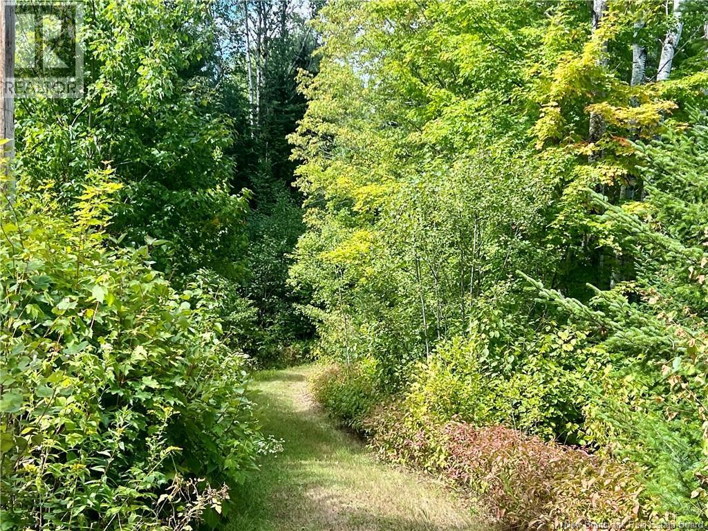 Rio Grande Road, Rio Grande, New Brunswick  E2A 6Y9 - Photo 18 - NB125621