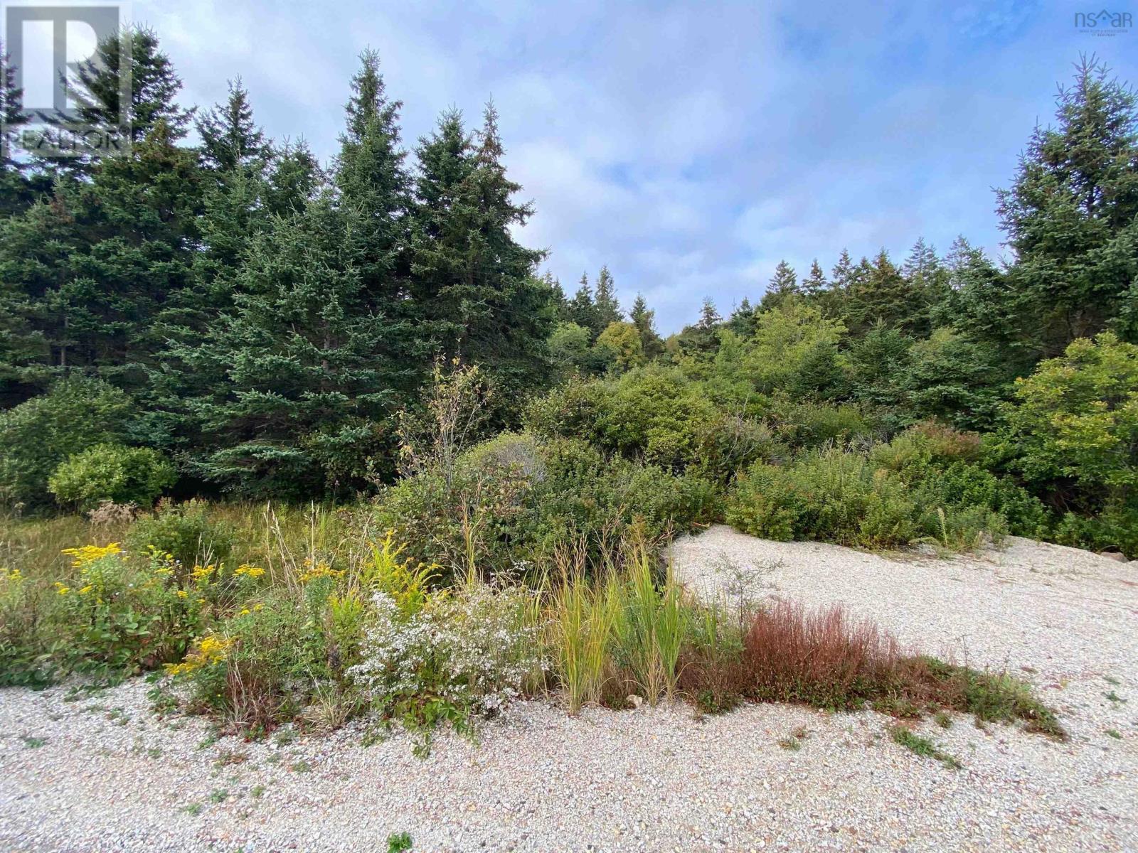 308 Highway, Morris Island, Nova Scotia  B0W 3M0 - Photo 7 - 202524589