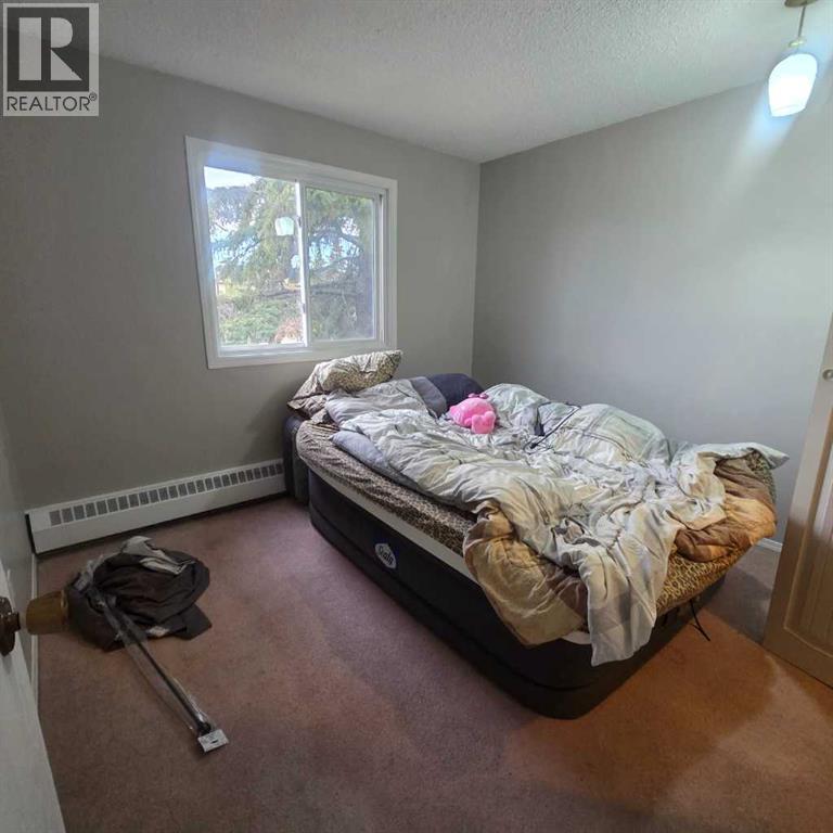 316b, 5611 9 Avenue, Edson, Alberta  T7E 1R5 - Photo 16 - A2269620