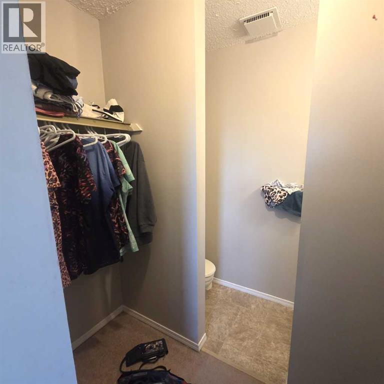 316b, 5611 9 Avenue, Edson, Alberta  T7E 1R5 - Photo 18 - A2269620