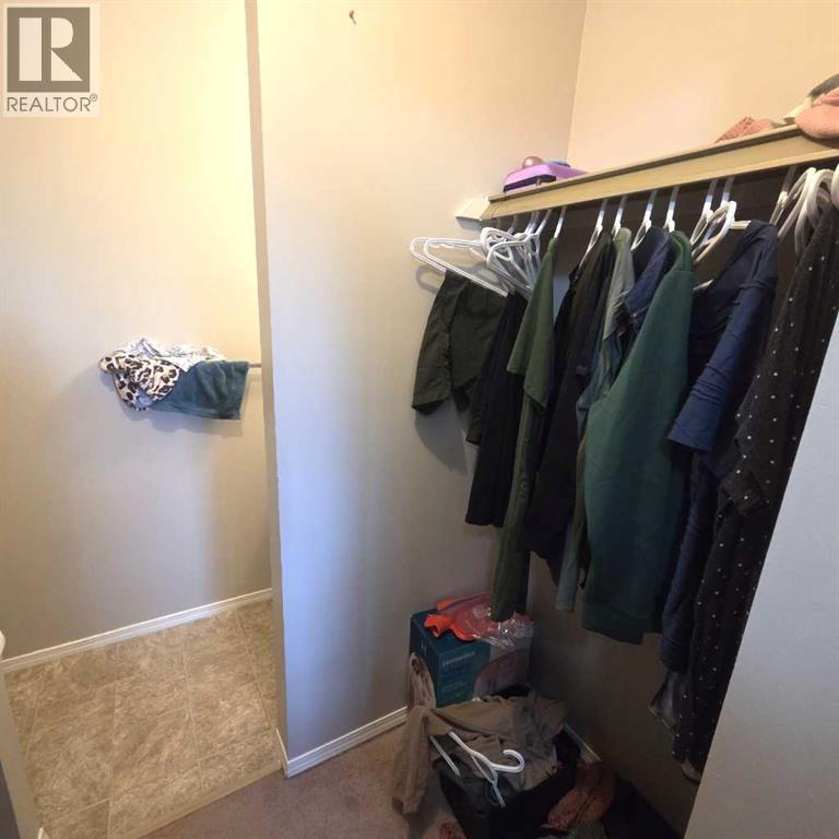 316b, 5611 9 Avenue, Edson, Alberta  T7E 1R5 - Photo 19 - A2269620