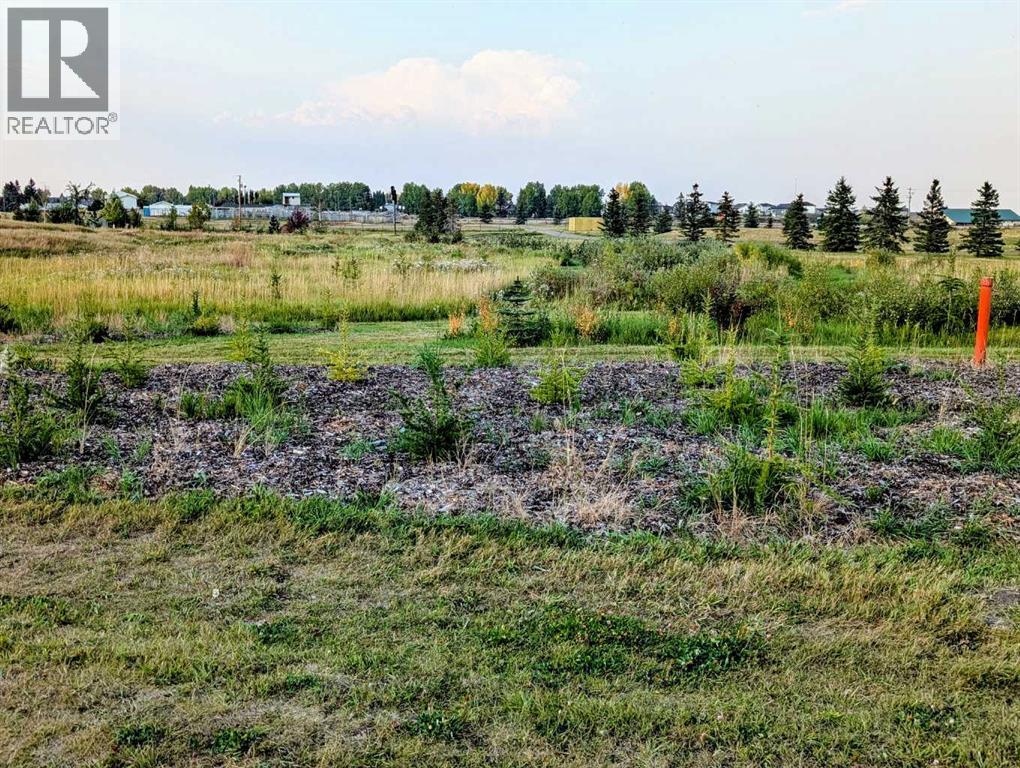 1024 Carriage Lane Drive, Carstairs, Alberta  T0M 0N0 - Photo 37 - A2255507