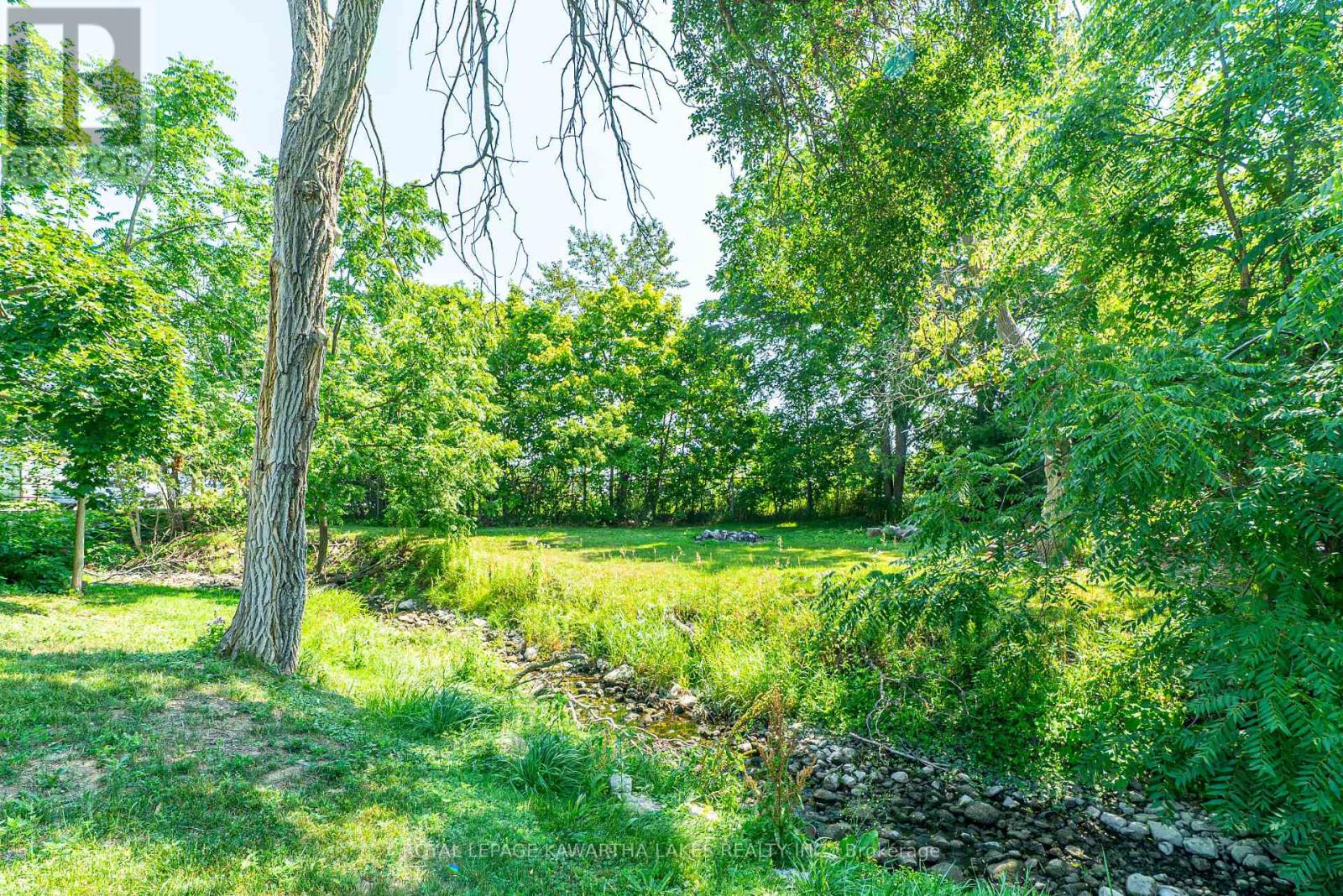 50 St Patrick Street, Kawartha Lakes, Ontario K9V 1R3 - Photo 31 - X12540502