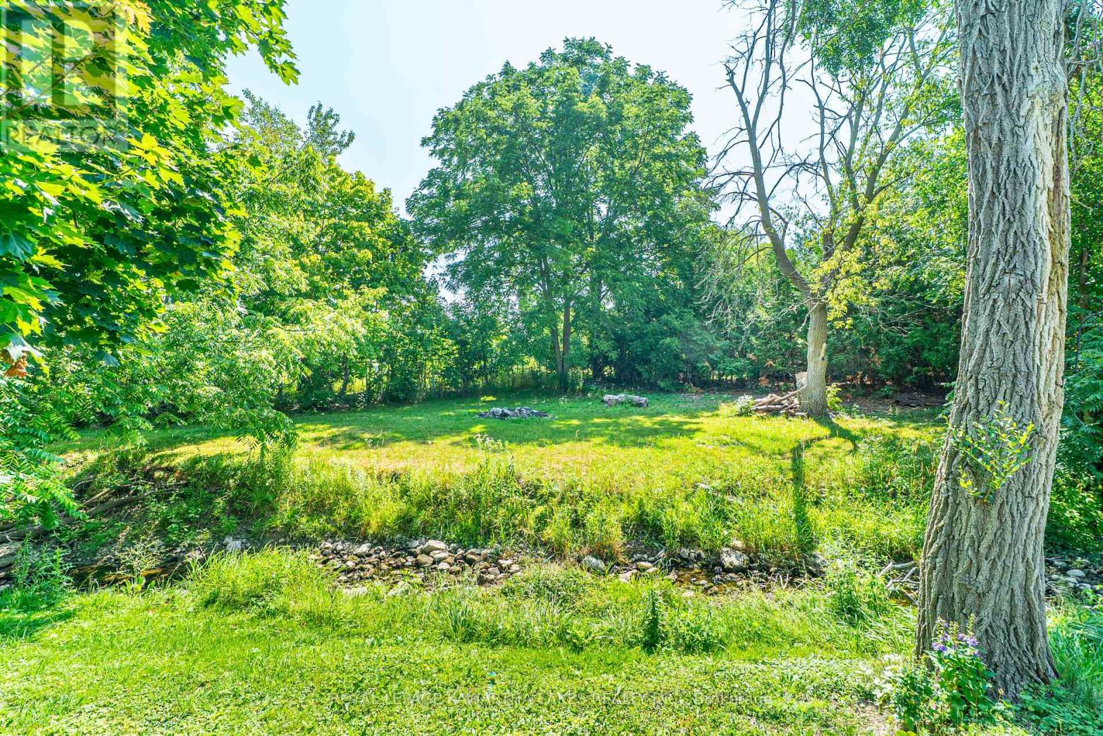 50 St Patrick Street, Kawartha Lakes, Ontario K9V 1R3 - Photo 32 - X12540502