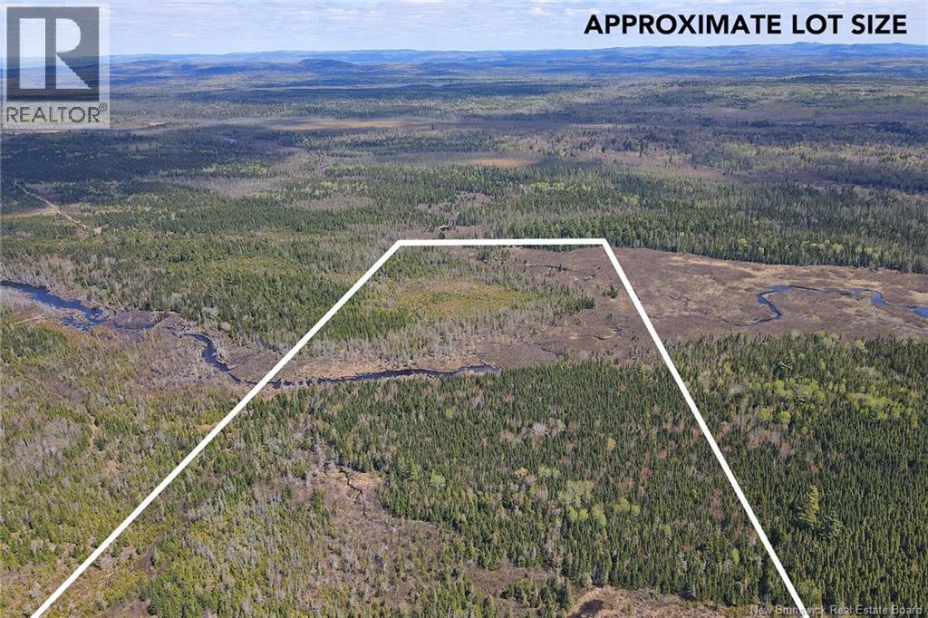 Lot Route 585, Clarkville, New Brunswick  E6E 1P5 - Photo 3 - NB130088