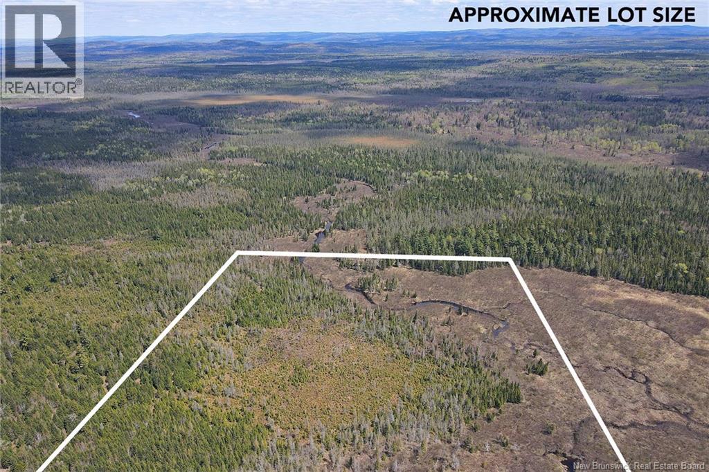 Lot Route 585, Clarkville, New Brunswick  E6E 1P5 - Photo 5 - NB130088