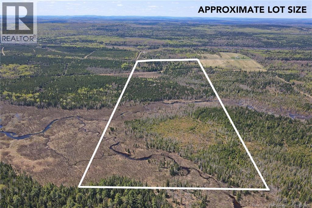 Lot Route 585, Clarkville, New Brunswick  E6E 1P5 - Photo 6 - NB130088