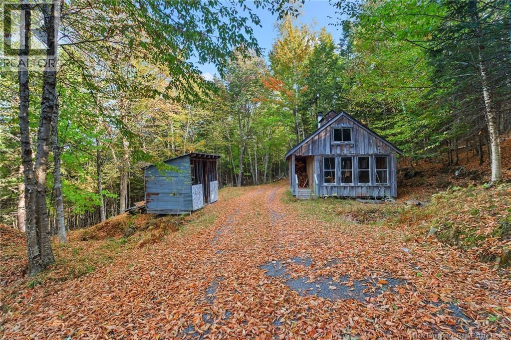 211 Jackson Road, Keswick Ridge, New Brunswick  E6L 1V6 - Photo 42 - NB128737