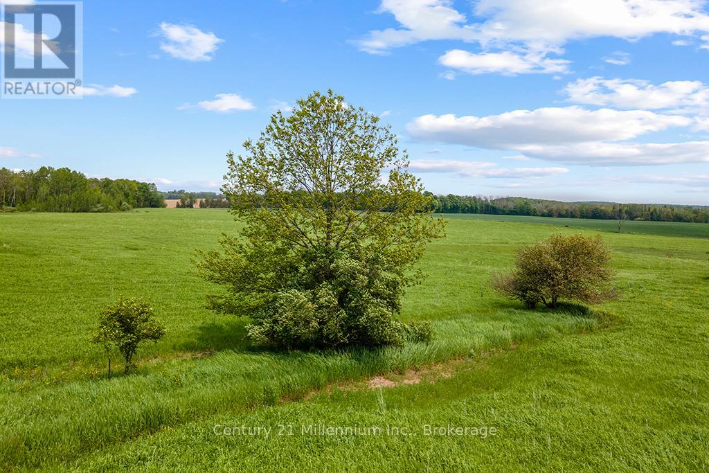 381103 Concession Road 4, West Grey, Ontario  N4N 3B9 - Photo 4 - X12540648