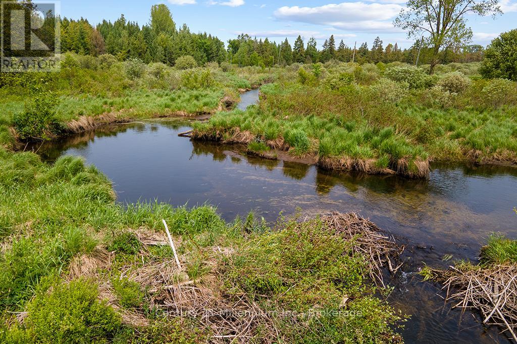 381103 Concession Road 4, West Grey, Ontario  N4N 3B9 - Photo 47 - X12540648