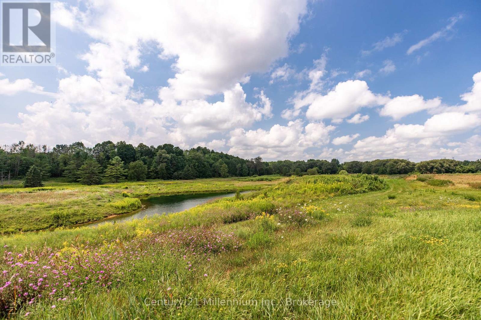 401345 Grey Road 4, West Grey, Ontario N4N 3B8 - Photo 44 - X12540658