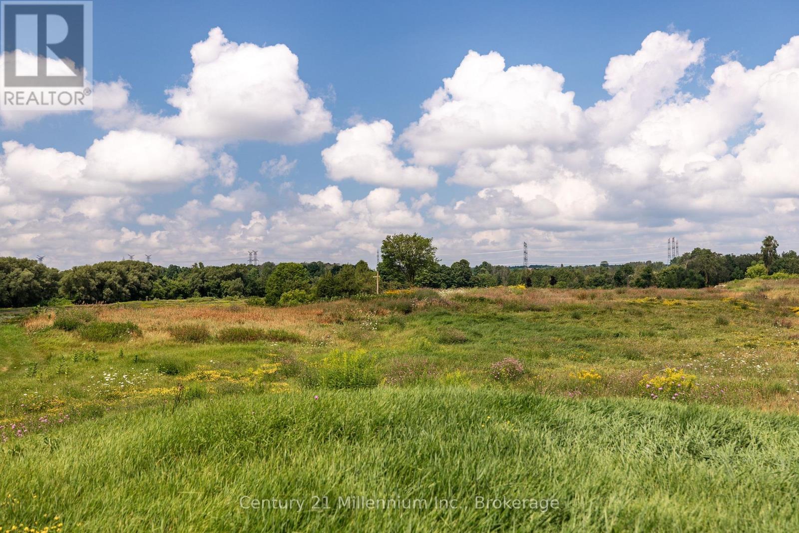 401345 Grey Road 4, West Grey, Ontario N4N 3B8 - Photo 46 - X12540658