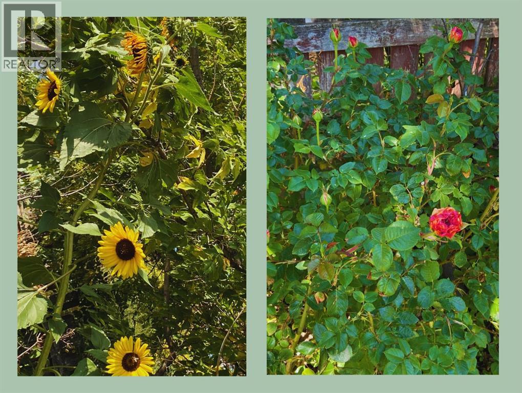 119 47 Avenue W, Claresholm, Alberta  T0L 0T0 - Photo 27 - A2267316