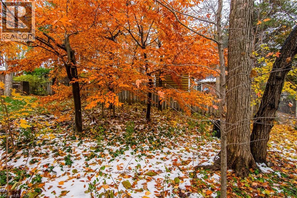 179 Shuh Avenue, Kitchener, Ontario  N2A 1H4 - Photo 43 - 40787074