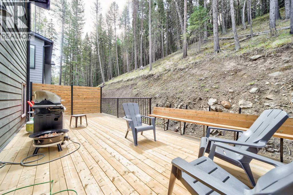 230 Southmore Place, Blairmore, Alberta  T0K 0E0 - Photo 29 - A2265648