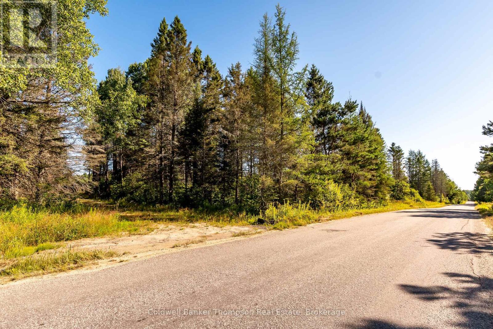 254 Pickerel Lake Road, Armour, Ontario P0A 1C0 - Photo 4 - X12540790