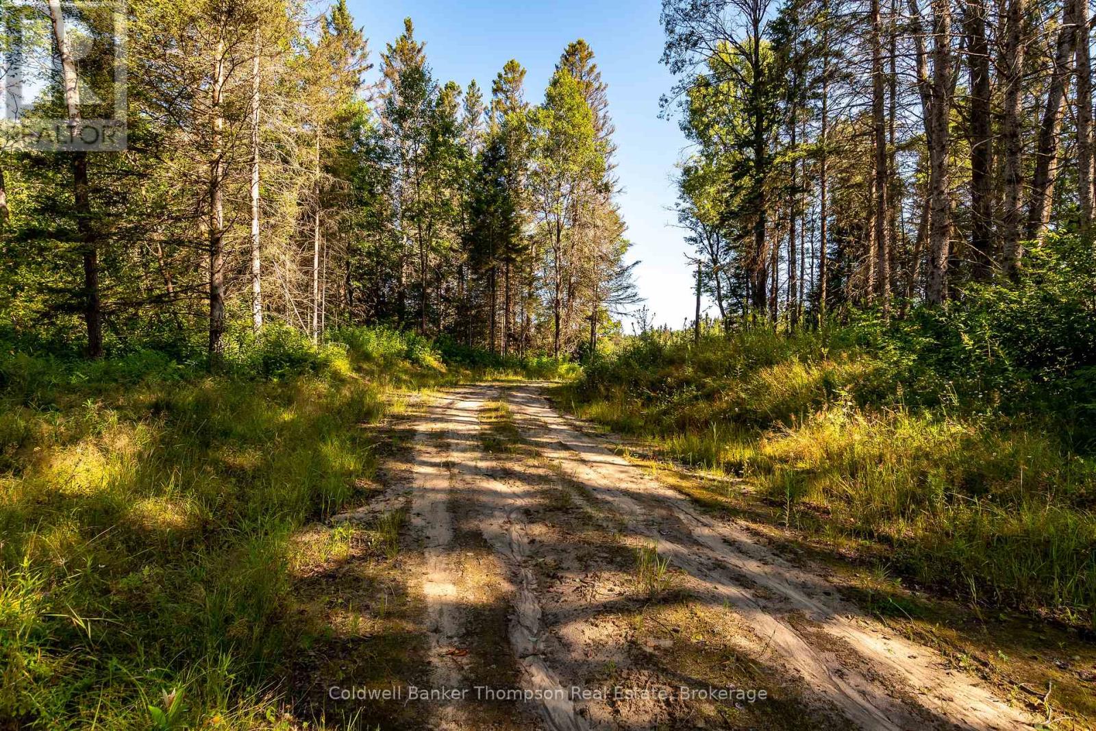254 Pickerel Lake Road, Armour, Ontario P0A 1C0 - Photo 6 - X12540790