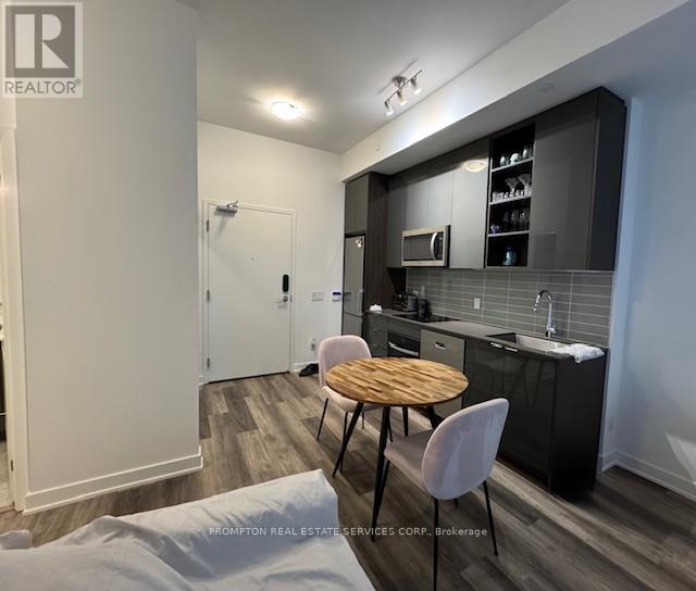 224 - 543 Richmond Street W, Toronto, Ontario  M5V 1Y6 - Photo 3 - C12540642