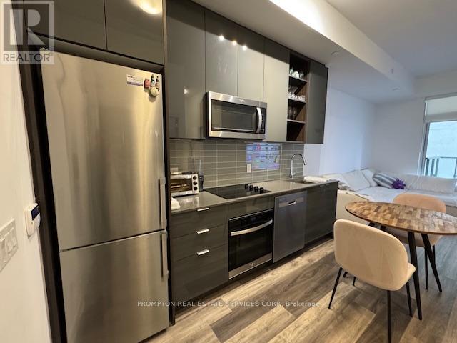 224 - 543 Richmond Street W, Toronto, Ontario  M5V 1Y6 - Photo 4 - C12540642