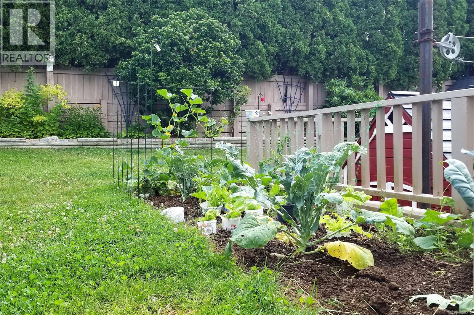 824 Springbok Rd, Campbell River, British Columbia  V9W 7M3 - Photo 33 - 1020346