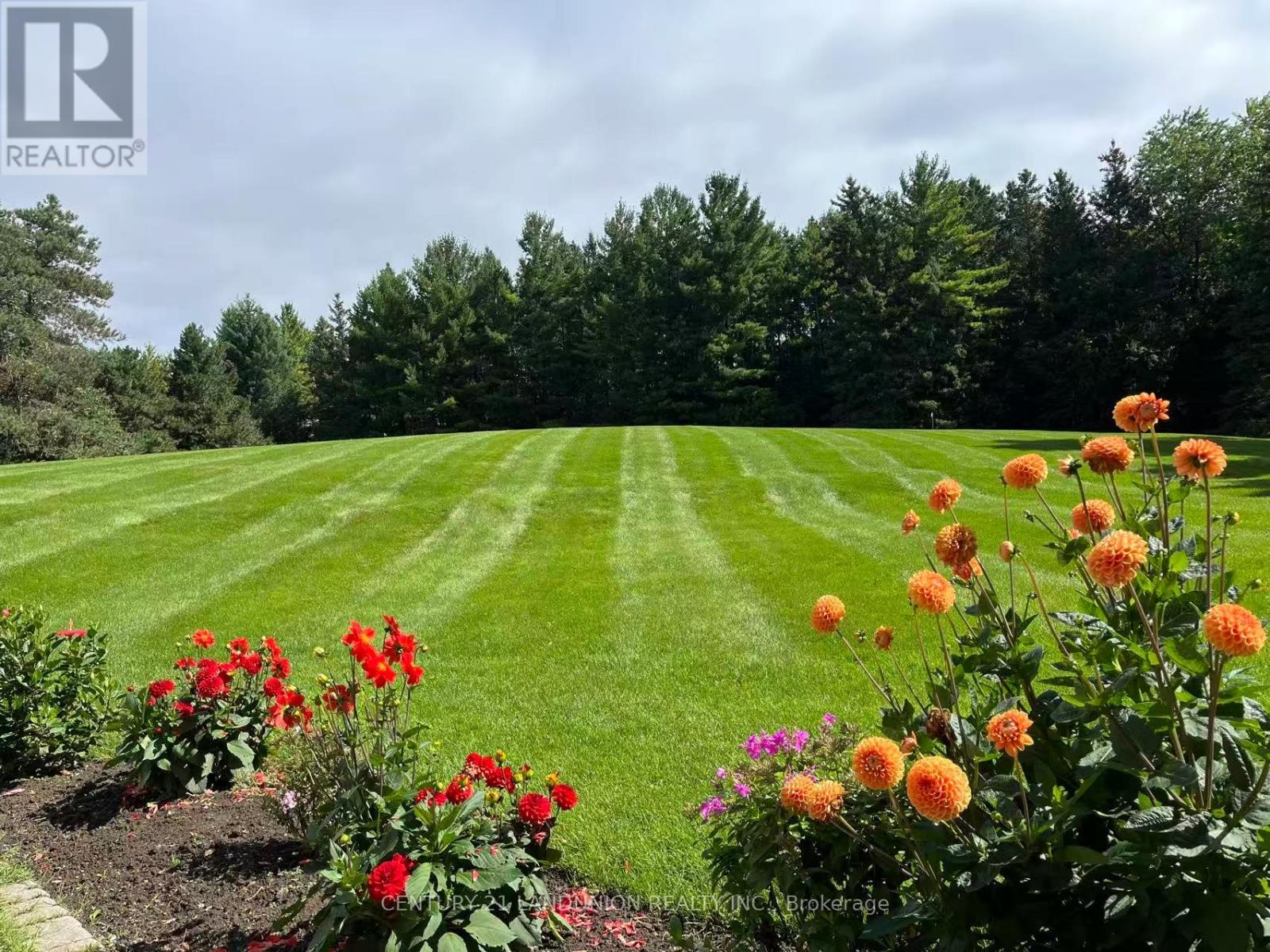 5 Dafoe Court, Aurora, Ontario  L4G 7C8 - Photo 20 - N12540780