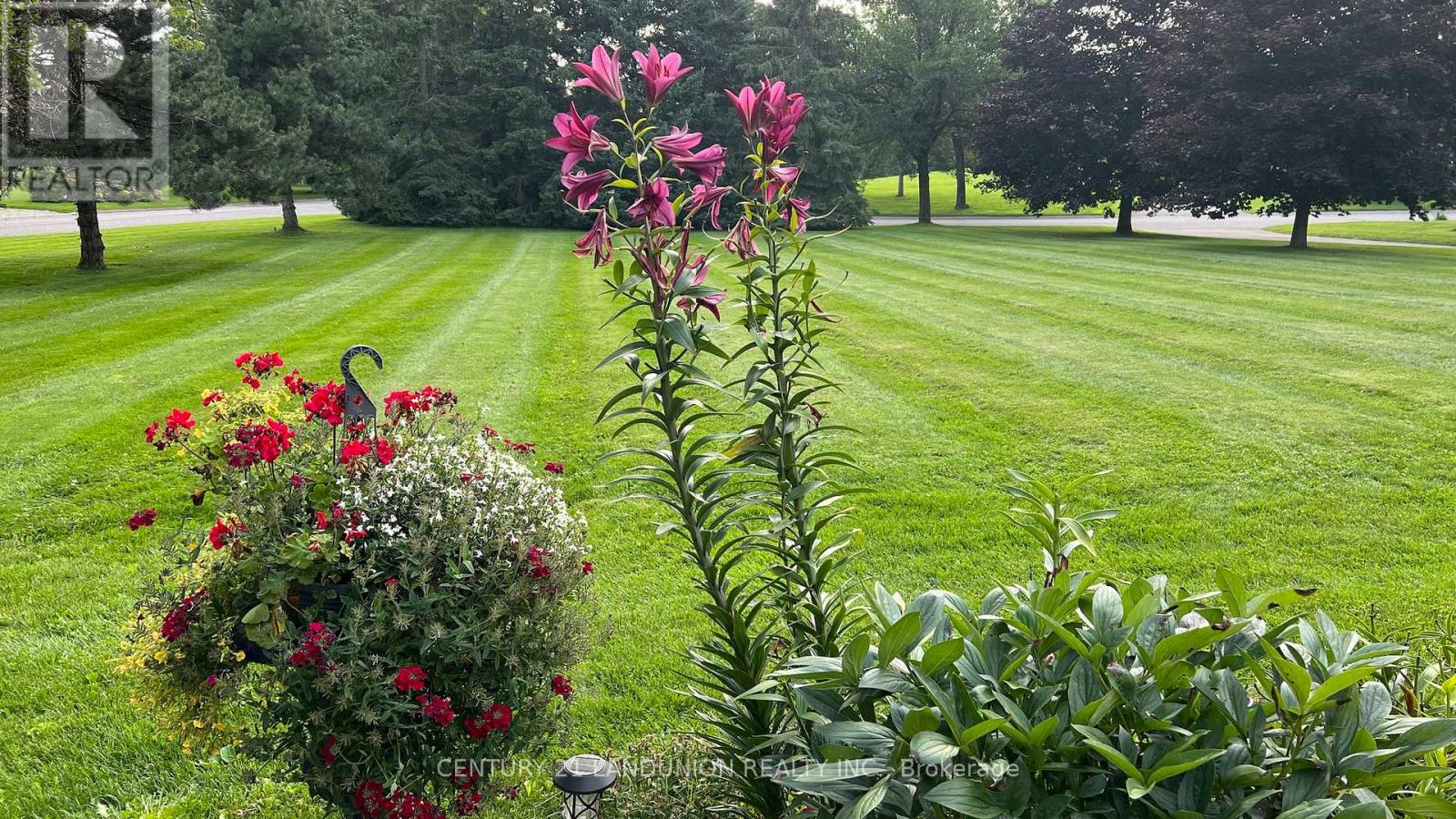 5 Dafoe Court, Aurora, Ontario  L4G 7C8 - Photo 3 - N12540780