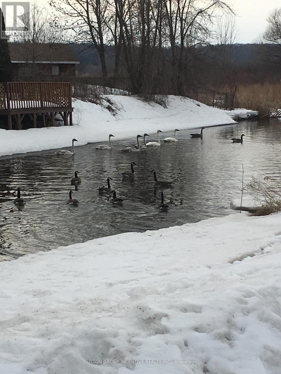 15 Playfair Drive, Tay, Ontario  L0K 2C0 - Photo 21 - S12540946