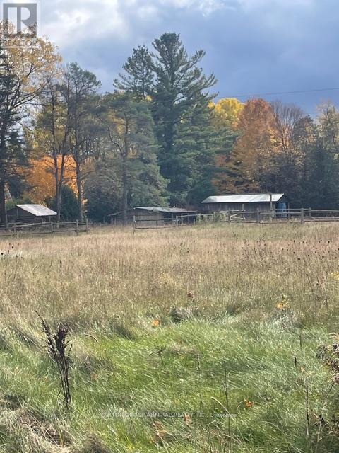 7574 White Road, Clarington, Ontario  L0A 1E0 - Photo 13 - E12419167