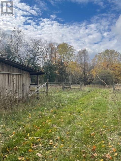 7574 White Road, Clarington, Ontario  L0A 1E0 - Photo 9 - E12419167